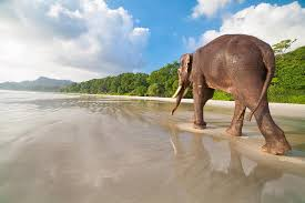 ANDAMAN 6N 7D