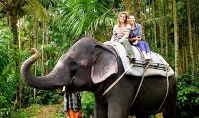 KERALA 5N 6D