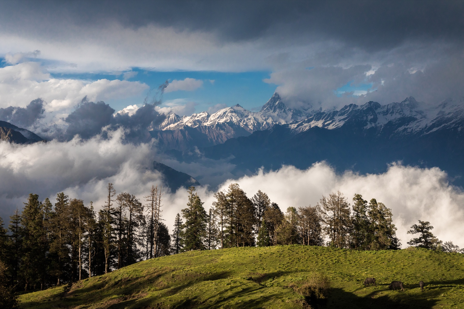 UTTARAKHAND 7N 8D